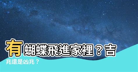 蝴蝶飛進來家裡|為什麼家裡會經常有蝴蝶？蝴蝶飛到家裡來有什麼預。